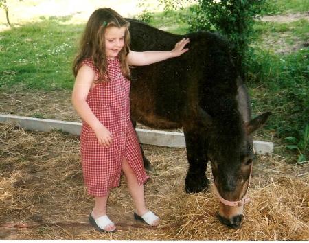 mes poneys