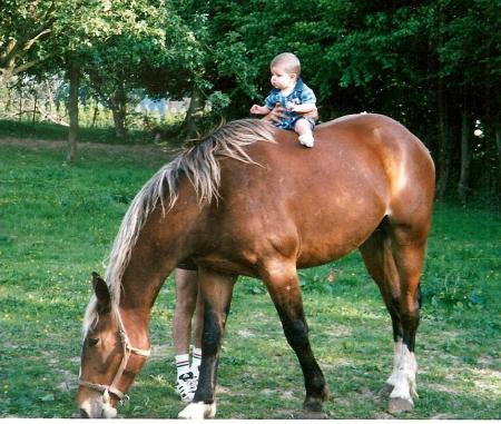 mes chevaux