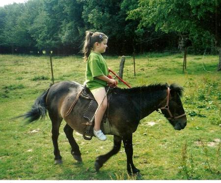 mes poneys